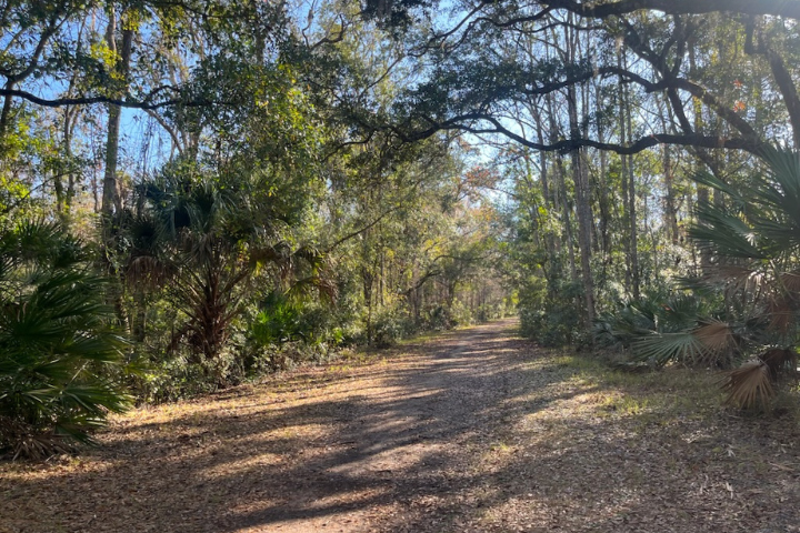 View of trail at Nocatee Preserve