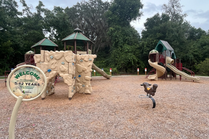 image of playground with trees behind it