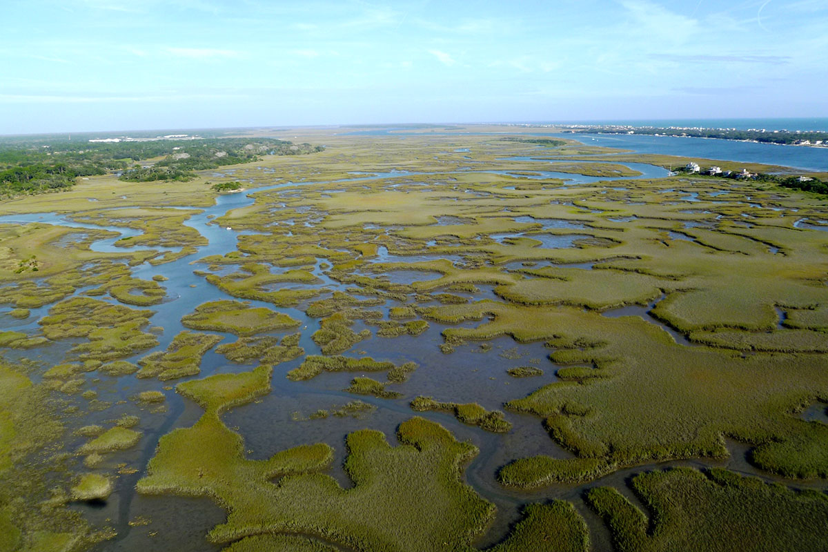 Tolomato Marsh