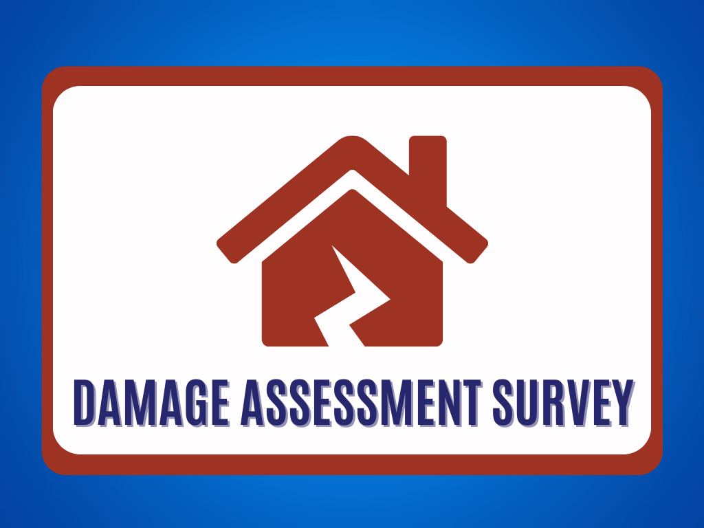 damage assessment survey icon