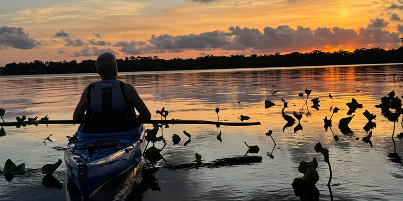 A kayaker watches a sunset from a patch of vegetation in a river.