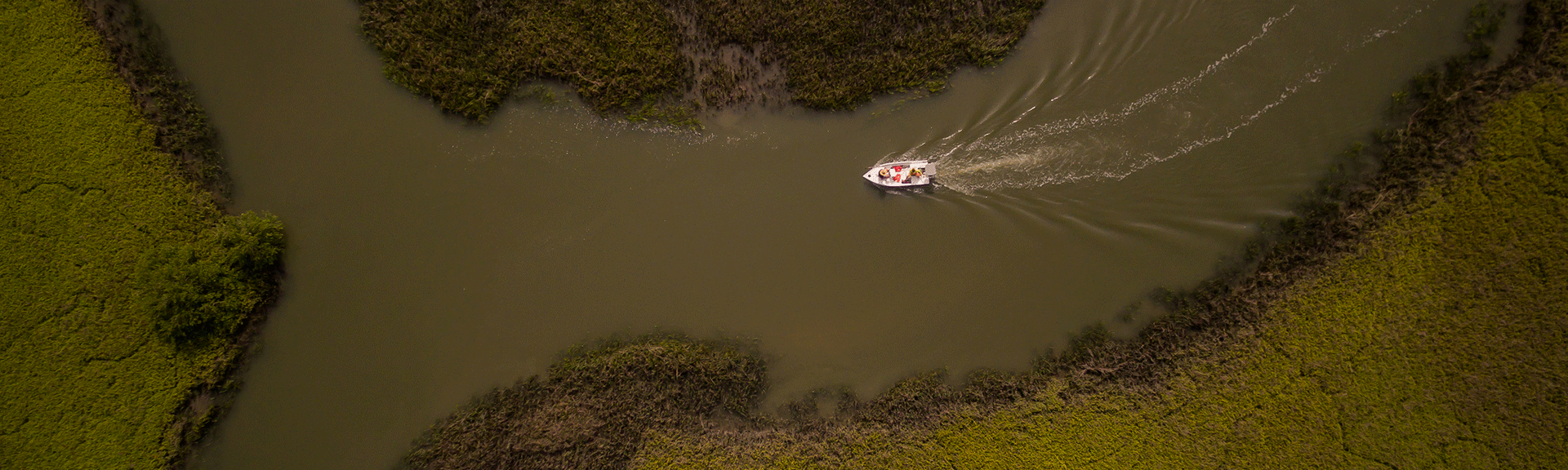 boat navigating through tributaries