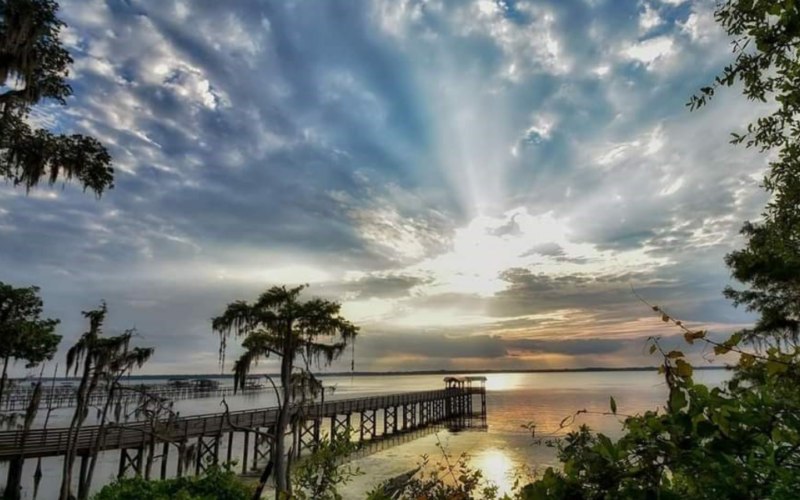 A pier at sunset, as seen from behind shoreline vegetation