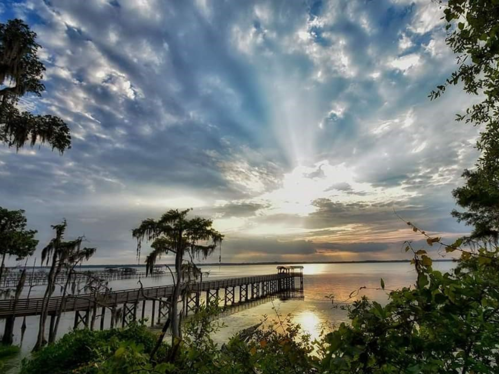 A pier at sunset, as seen from behind shoreline vegetation