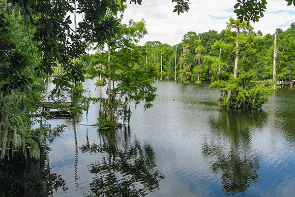 Beluthahatchee lake and cypress