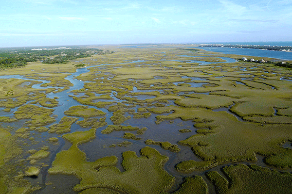 Tolomato Marsh aerial view