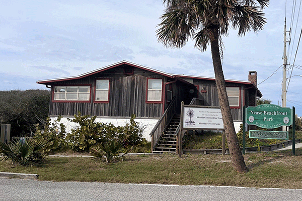 Nease Park brown house with palm tree