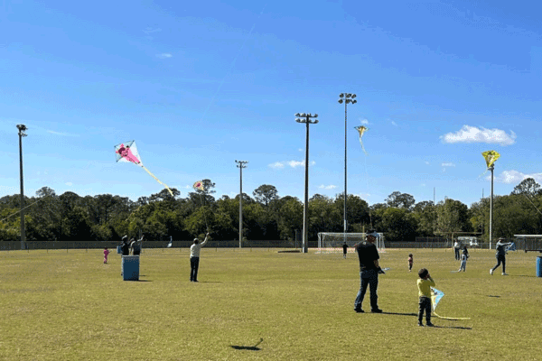 Adults and children flying kites in an open field